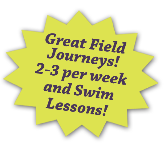 Stepping Stone School Summer Camp - Field Journeys and Swim Lessons