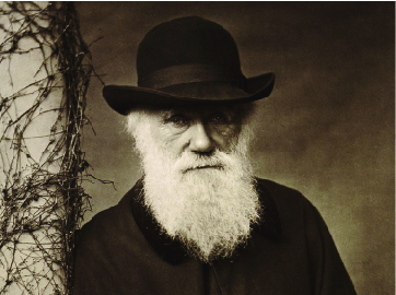 Austin Summer Camp Leader of The Week - Charles Darwin